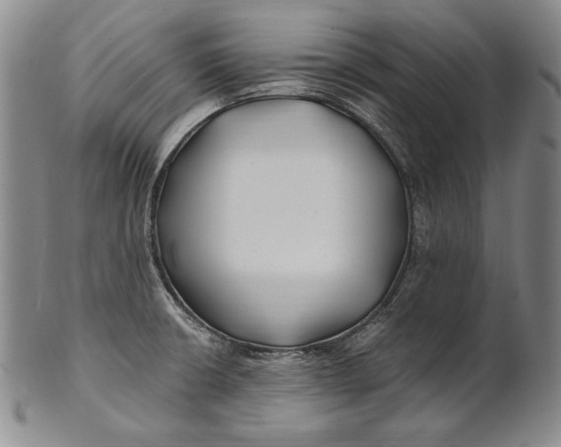 X0000100761426200807101717