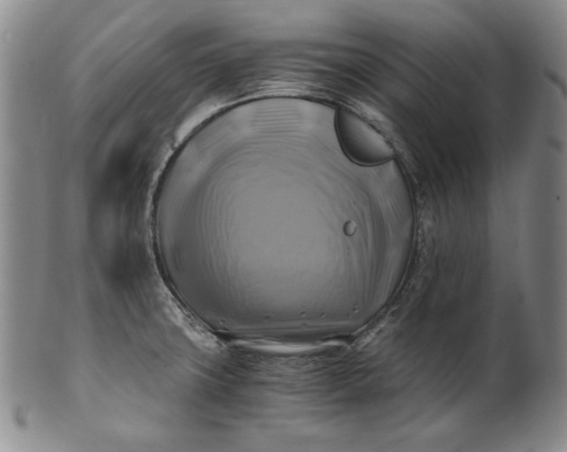 X0000100761427200807101717