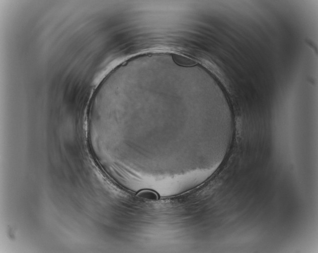 X0000100761428200807101717