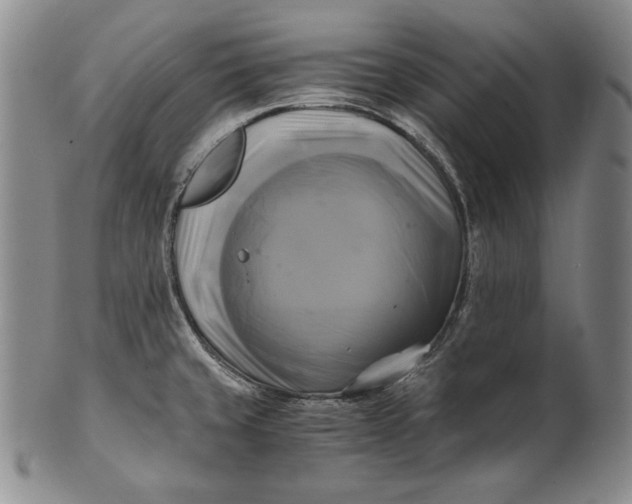 X0000100761429200807101717