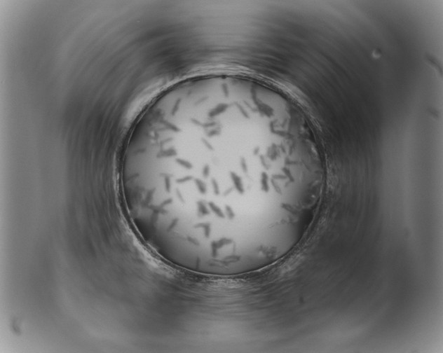 X0000100761430200807101717