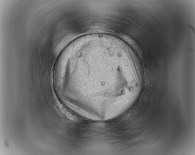 X0000100761431200807101717