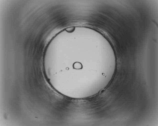 X0000100761432200807101717