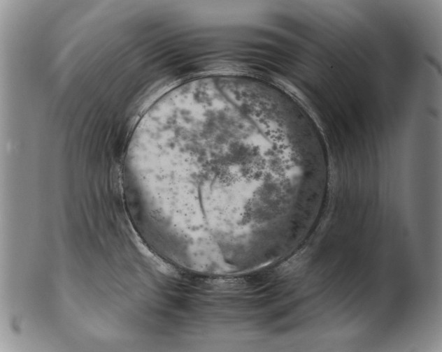 X0000100761433200807101717