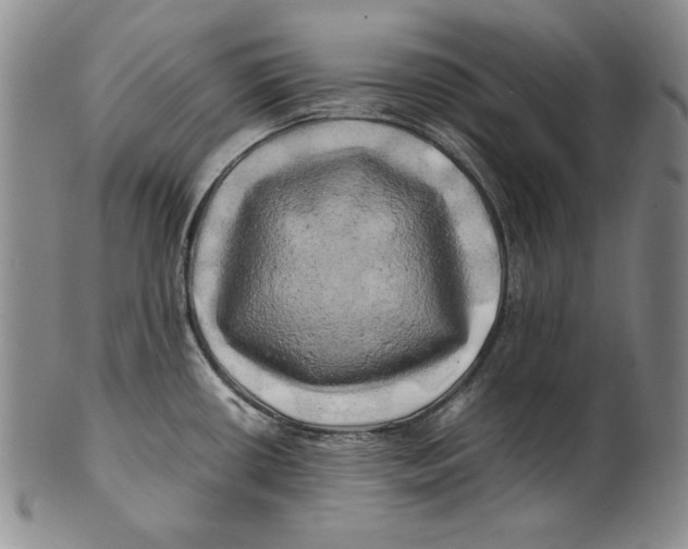 X0000100761434200807101717