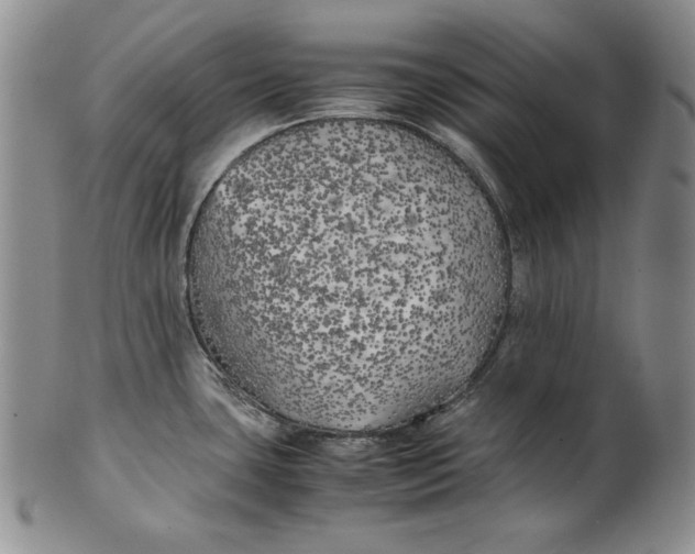 X0000100761435200807101717