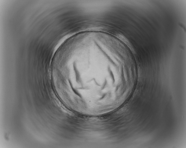 X0000100761436200807101717