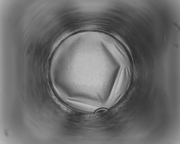 X0000100761437200807101717