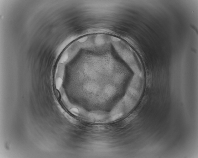 X0000100761438200807101717