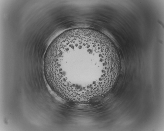 X0000100761439200807101717