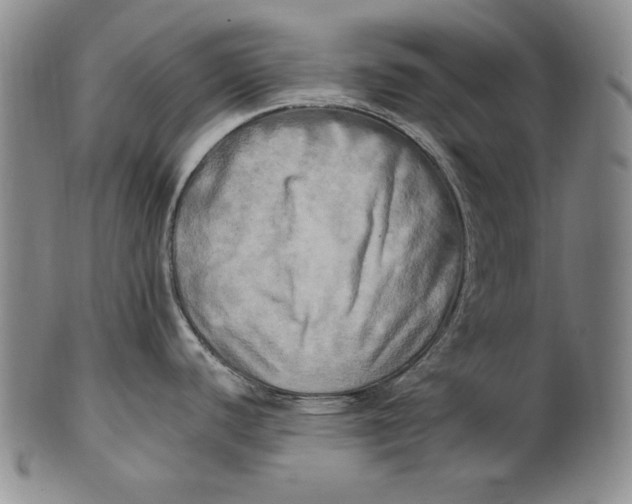 X0000100761440200807101717