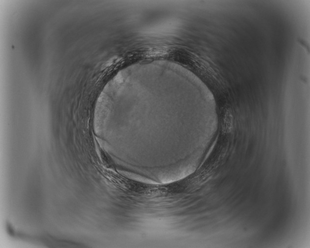 X0000100761441200807101716