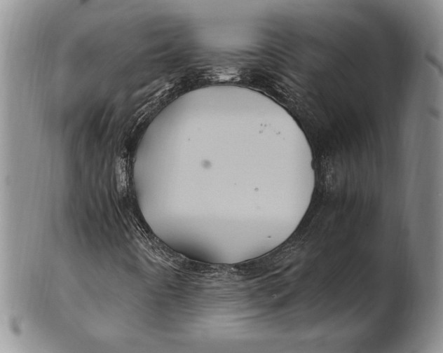 X0000100761442200807101716