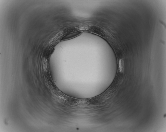 X0000100761443200807101716