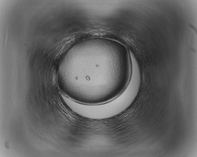 X0000100761444200807101716