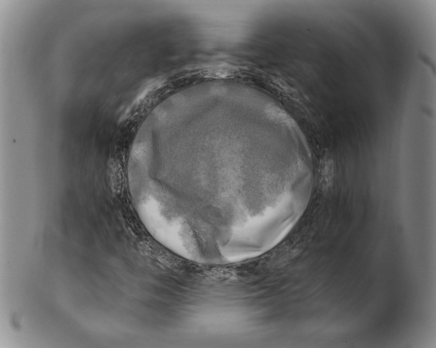 X0000100761446200807101716