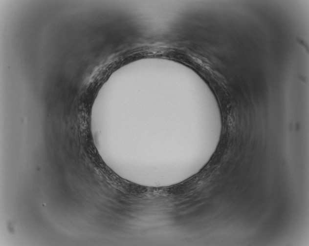 X0000100761447200807101716