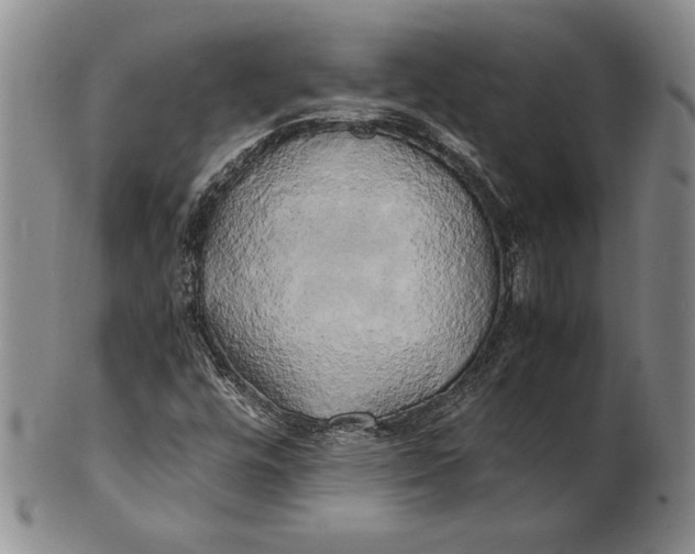 X0000100761448200807101716