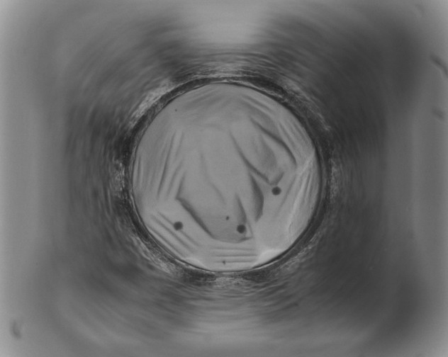 X0000100761449200807101716