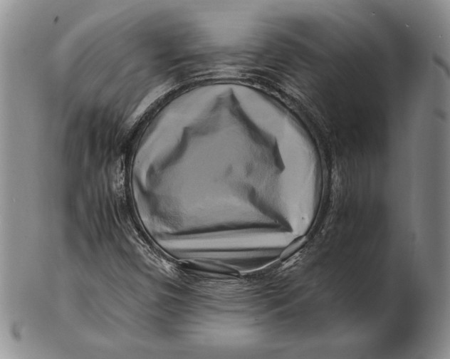 X0000100761450200807101716