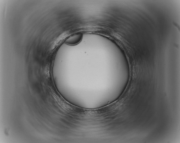 X0000100761451200807101716