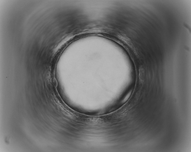 X0000100761452200807101716