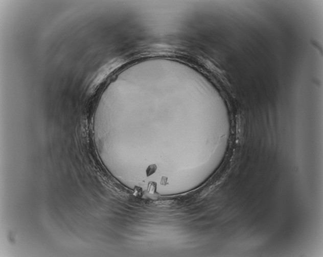 X0000100761453200807101716