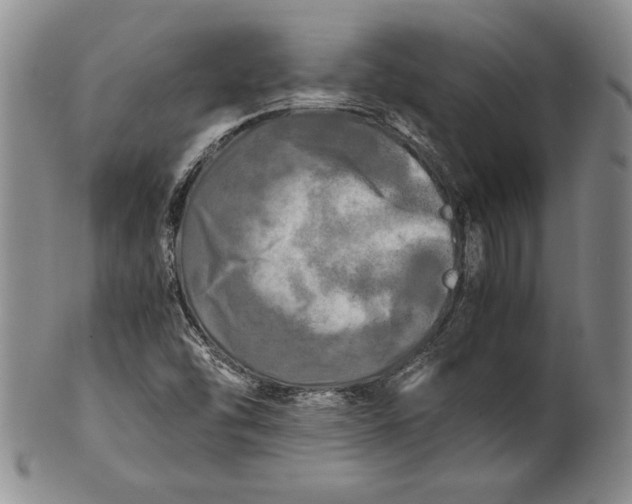 X0000100761454200807101716