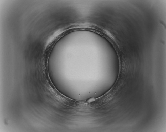 X0000100761456200807101716