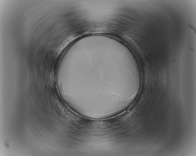 X0000100761457200807101716