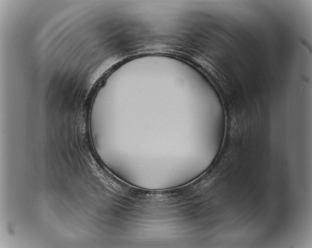 X0000100761458200807101716