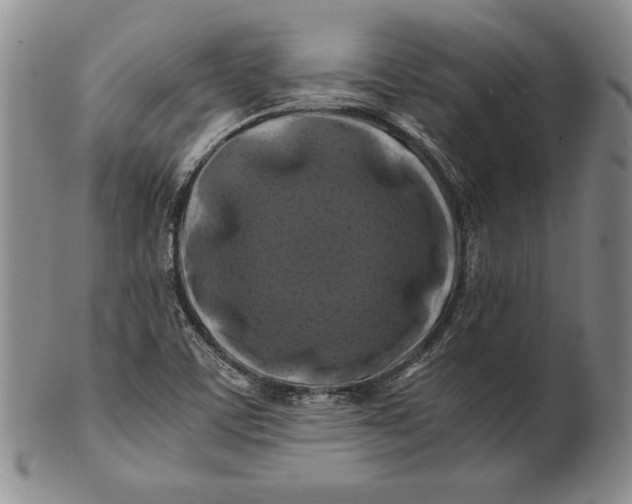 X0000100761459200807101716