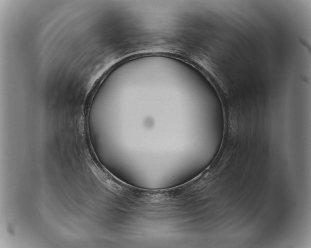 X0000100761460200807101716