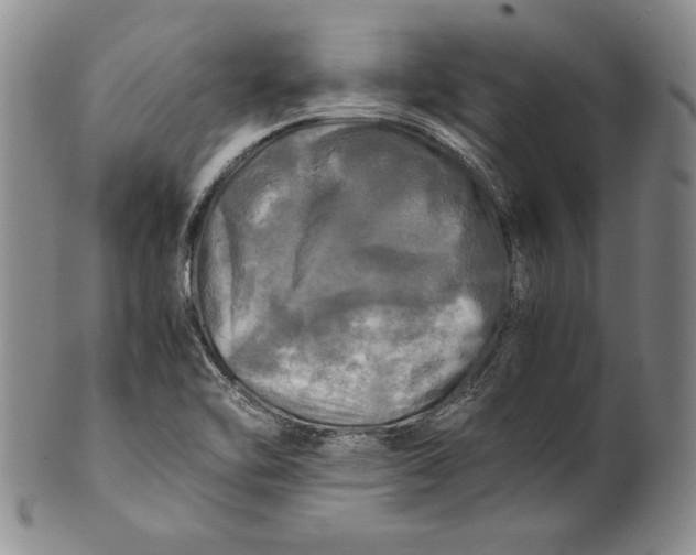 X0000100761462200807101716