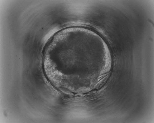 X0000100761463200807101716