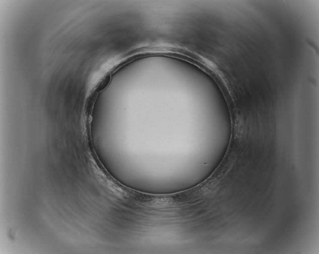 X0000100761464200807101716