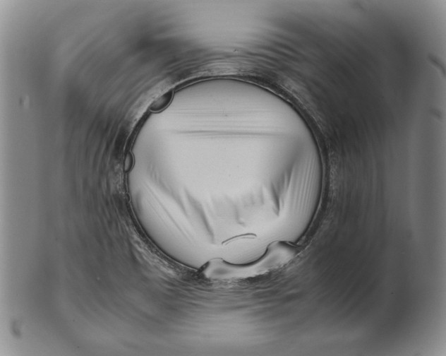 X0000100761465200807101716