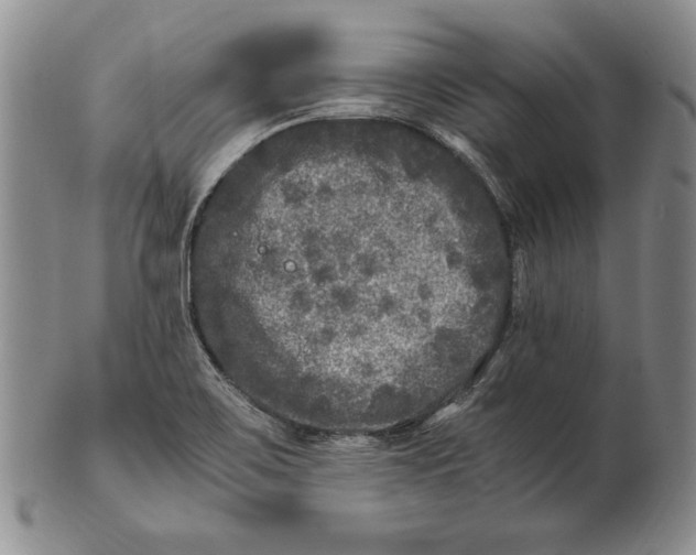 X0000100761467200807101716