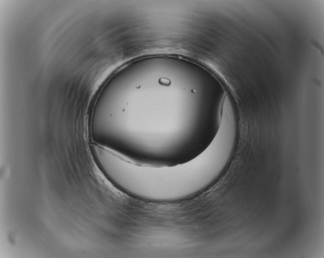 X0000100761468200807101716