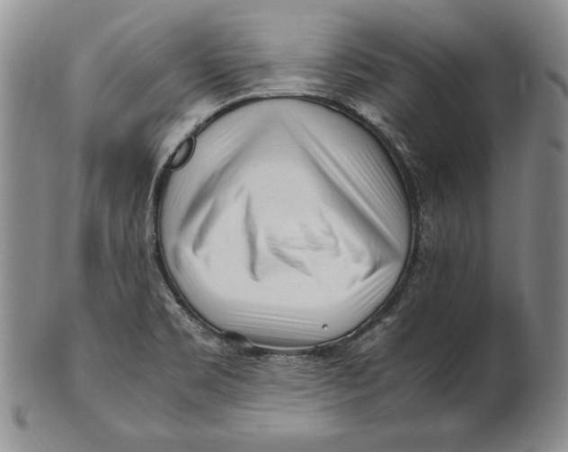 X0000100761469200807101716