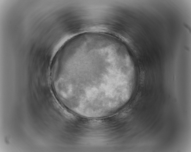 X0000100761470200807101716