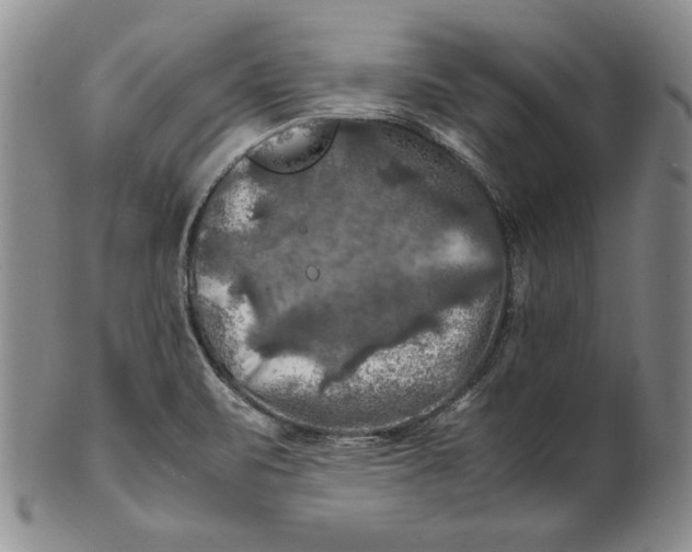 X0000100761471200807101716