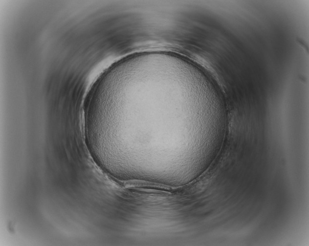 X0000100761472200807101716