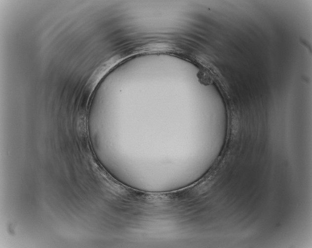 X0000100761473200807101715