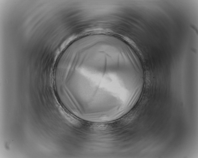 X0000100761474200807101715