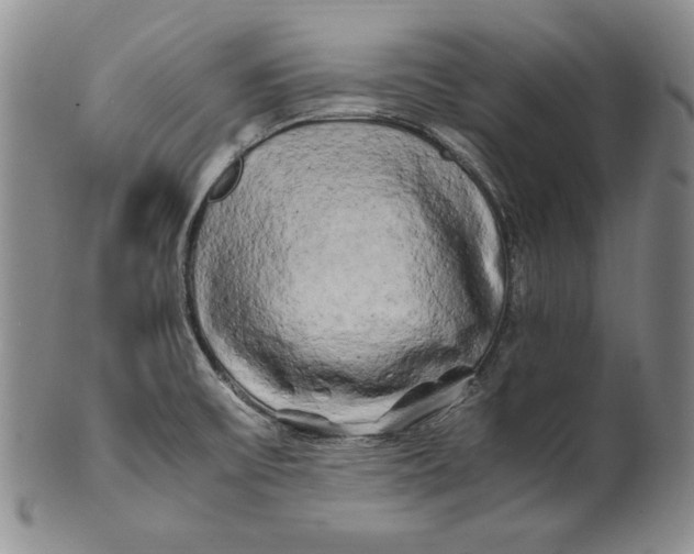 X0000100761475200807101715