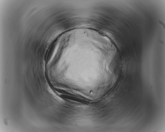 X0000100761476200807101715