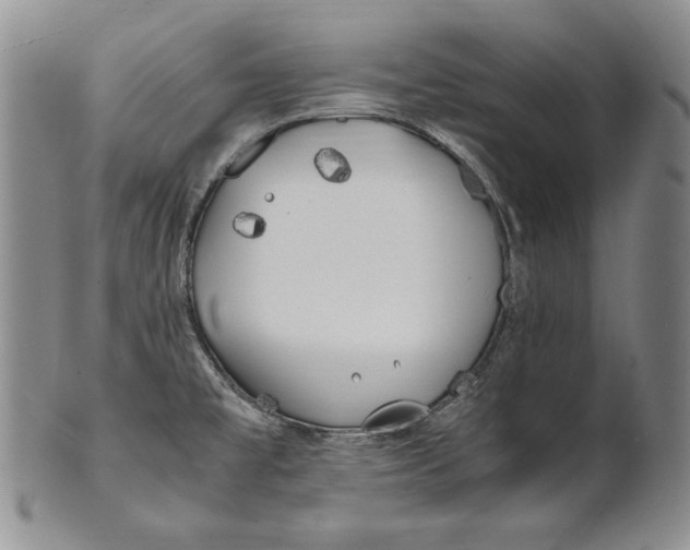 X0000100761477200807101715