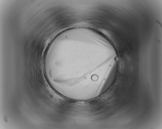 X0000100761478200807101715