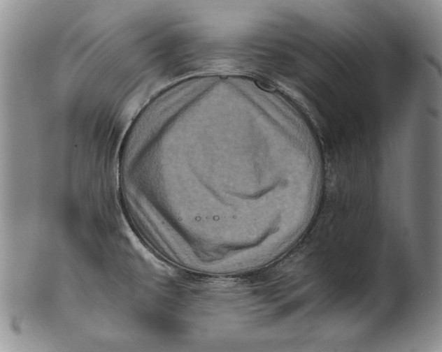 X0000100761479200807101715